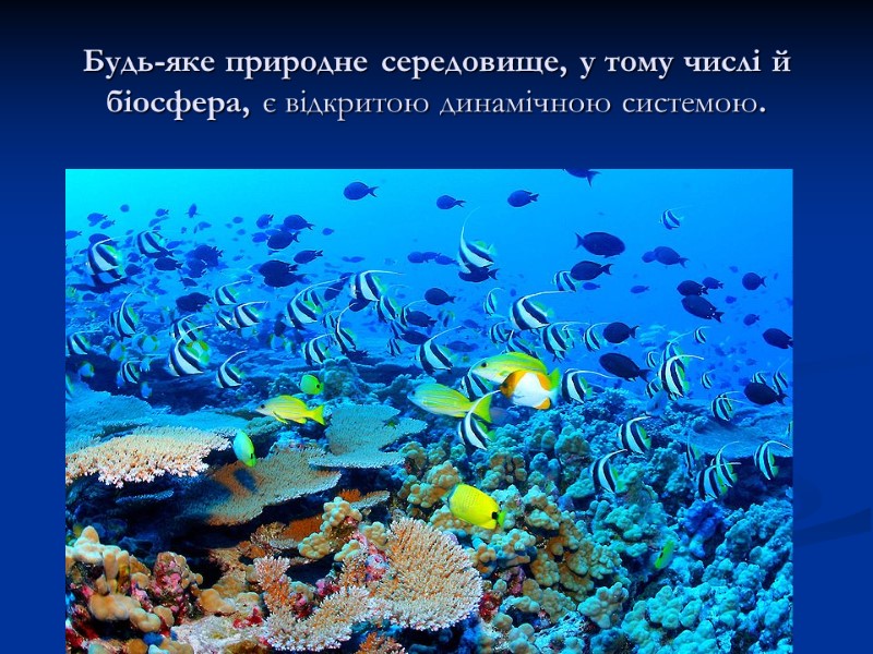 Будь-яке природне середовище, у тому числі й біосфера, є відкритою динамічною системою.